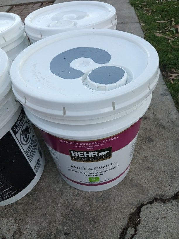 Interior Paint Eggshell Behr Paint $100