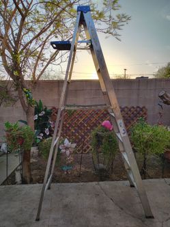 8ft Werner Ladder | Escalera