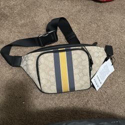 Coach Belt Bag