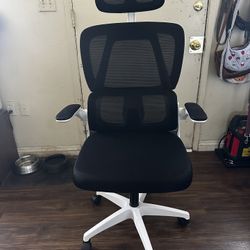 Ergonomic Office Chair