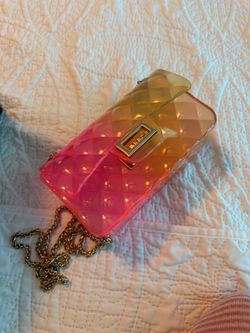 Dooney and Bourke bag and see through concert bag