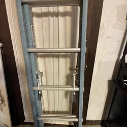 Werner Ladder $40
