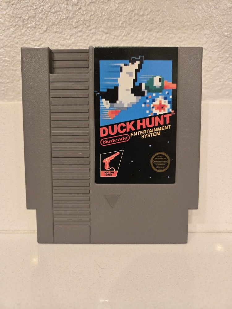 Duck Hunt