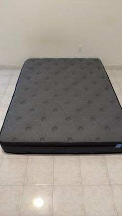 Brand New Queen Mattress