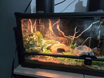 Thrive 20 gallon reptile tank