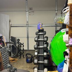 Dumbbells set with rack