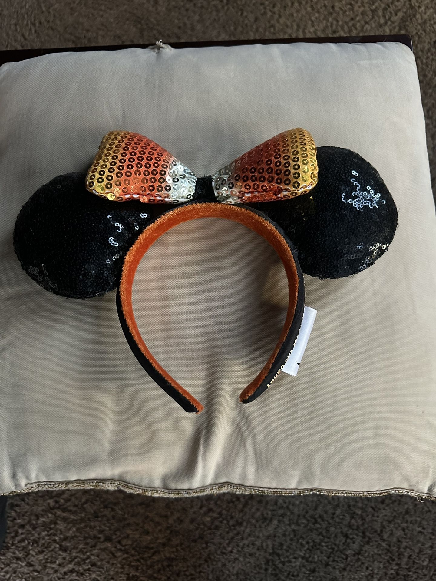 Disney Ears!!