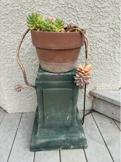 Gardening decor with succulents
