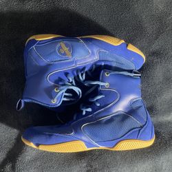 HAYAVUSA boxing shoes 