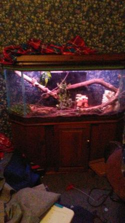 Fish tanks