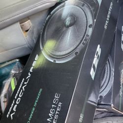 Db Sylvester 6.5