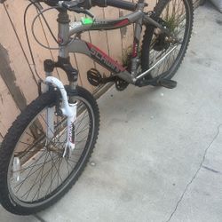 Bike Schwinn