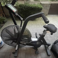 Rogue Echo Bike