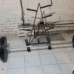 Olympic Weight Lifting Barbell And Weights