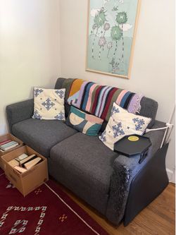 FREE Small Living Spaces Sleeper Sofa
