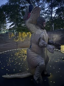Dinosaurs Inflable