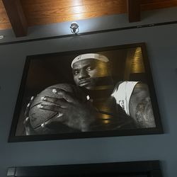 Lebron james portrait 