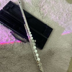 New flute, including a case, and cleaning rod.