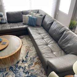 Grey Sectional Couch