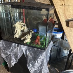 2 Fish Tanks