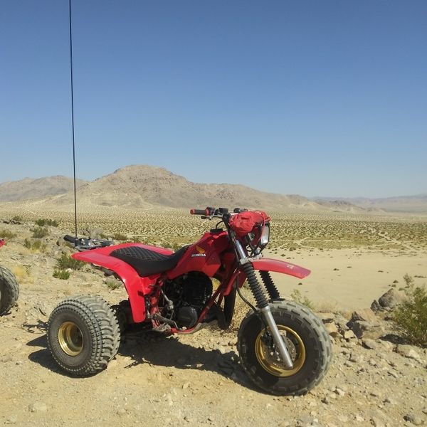 1984 honda atc 250r for sale 1984 honda atc 250r for sale