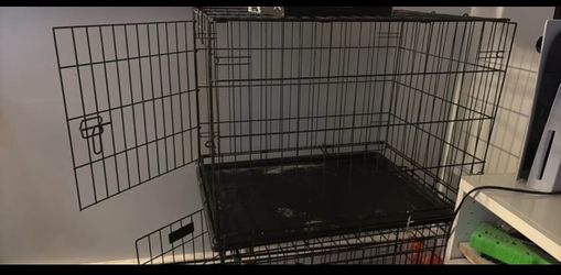 Kennel
