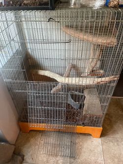 Reptile cage
