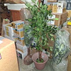Faux Ficus Tees, 4-foot, Indoor, NEW