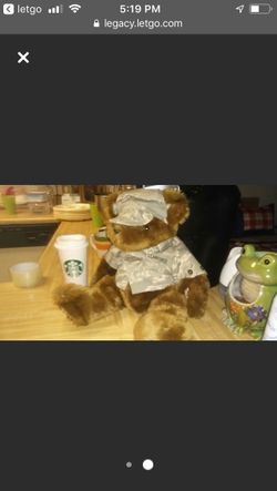 US Air Force BEAR(new