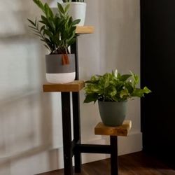 Decoration Wood Plant Stands , Macetero Para Plantas