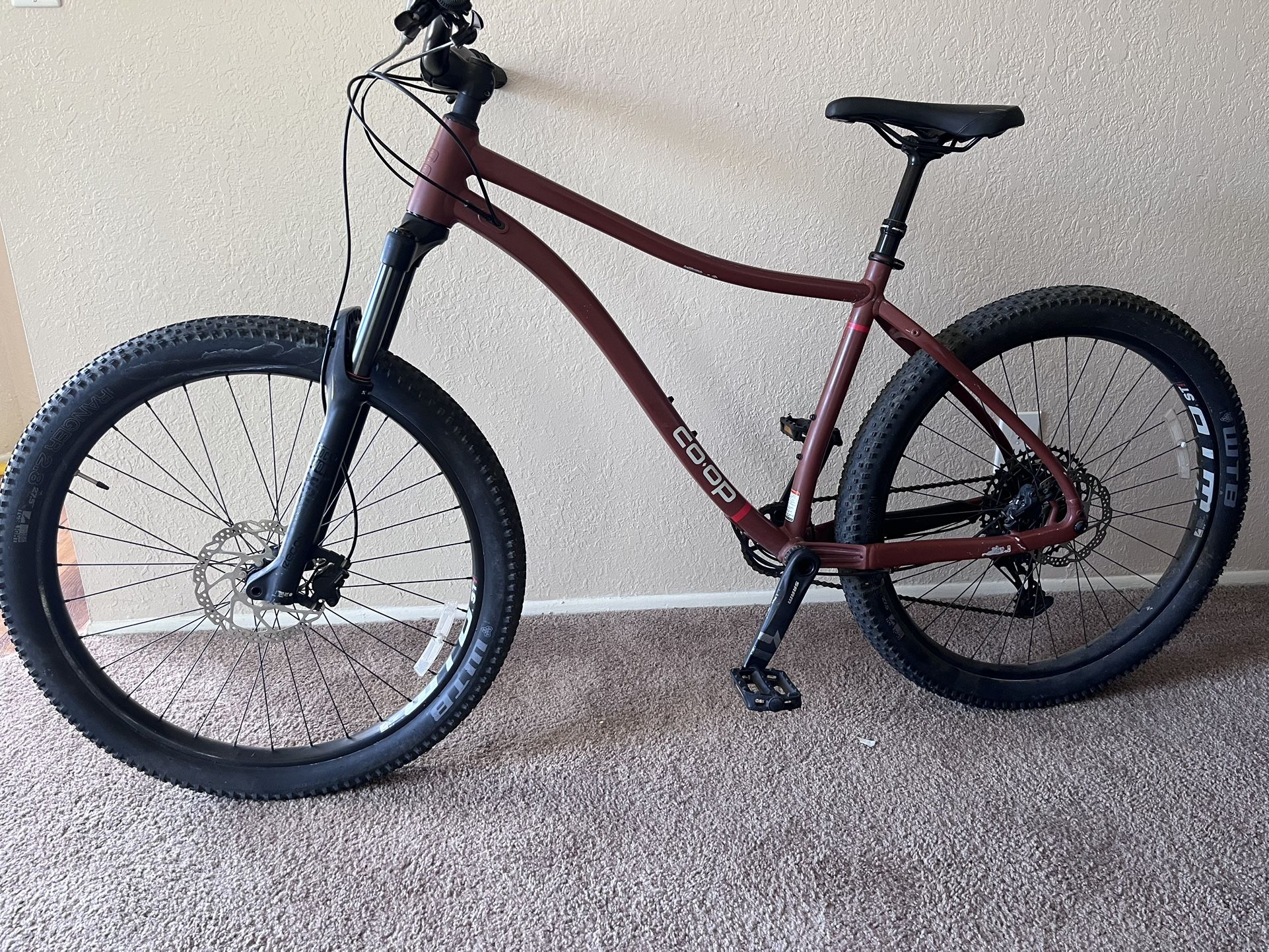 Mountain Bike