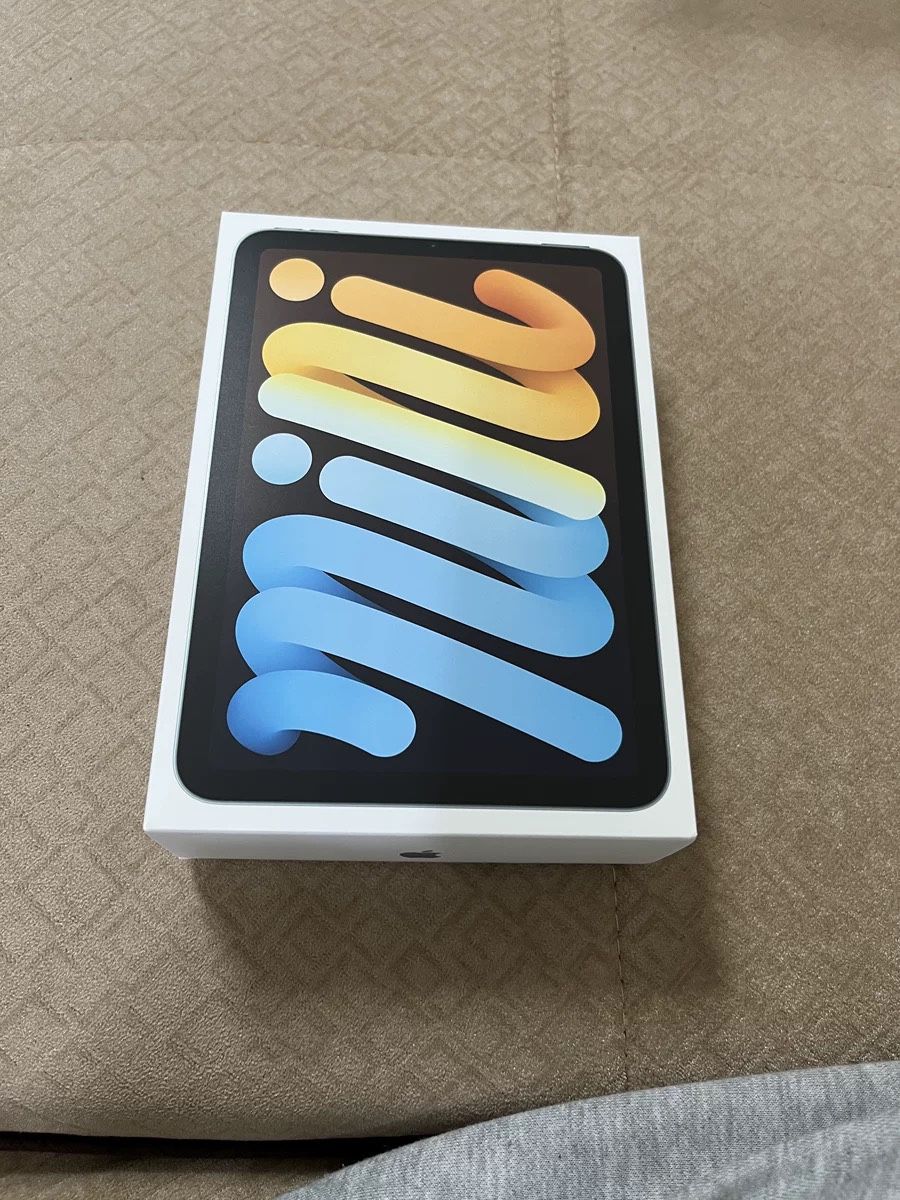 iPad Mini 6th 256GB