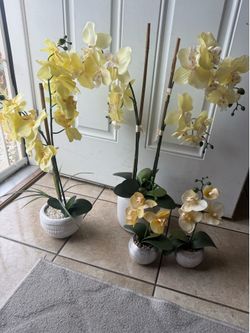 Yellow Flowers decor