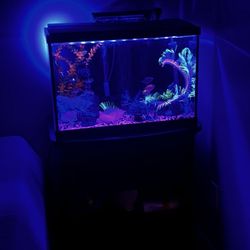 Tank With Stand 
