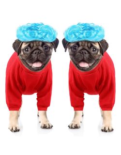 Tarpop 2 Set Halloween Dog Red T-Shirt Blue Wig Cosplay