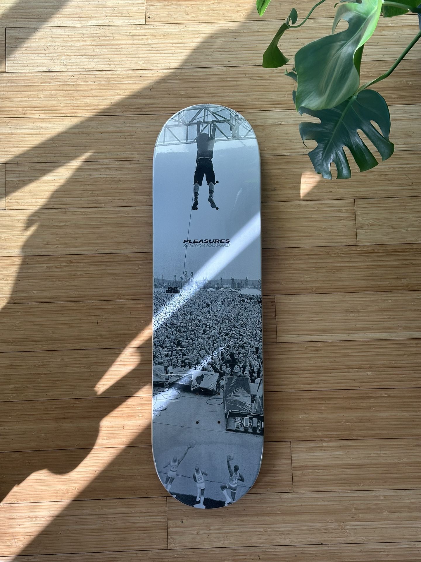 New Pearl Jam Pleasures X Alive & Well Skateboard Skate Deck Lance Mercer Vedder