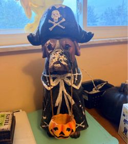 Halloween boxer statue