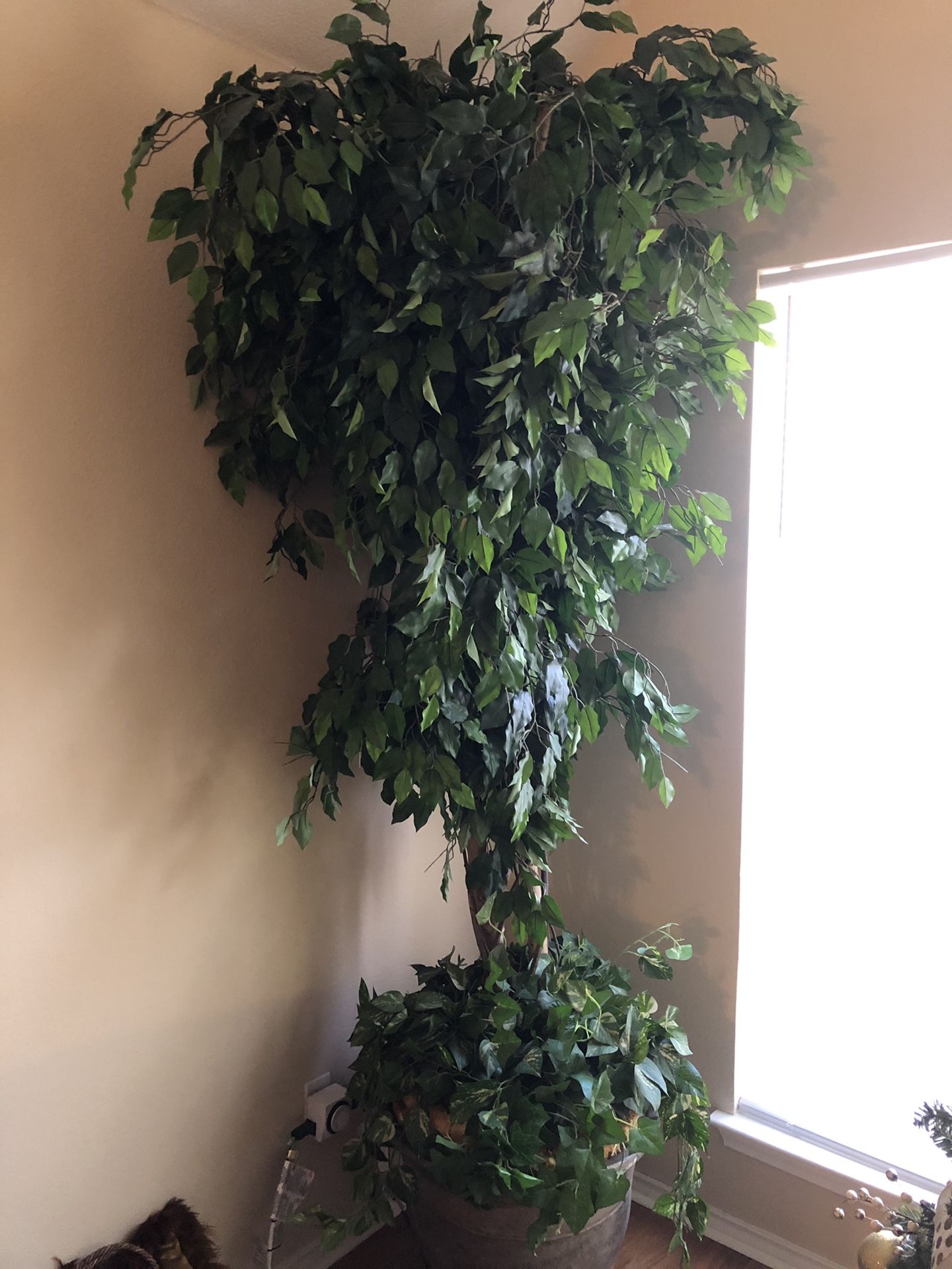 9 Foot Artificial Ficus Tree in Pot