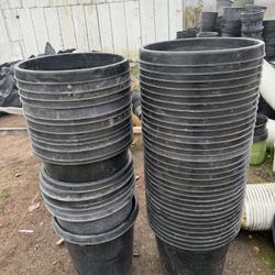 15 Gallons pots $5 each / Botes de 15 galones $5 each 
