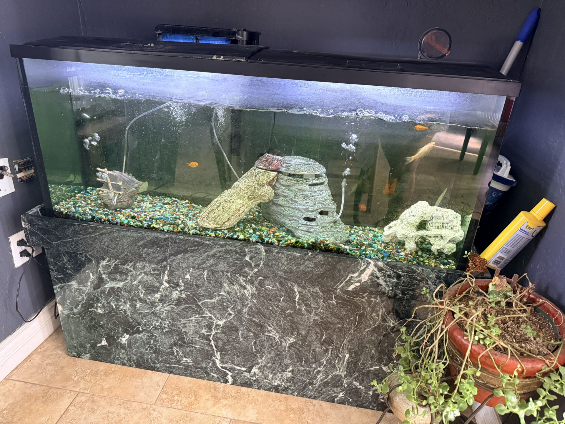 Fish Tank