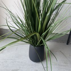 Artificial Plant With Base