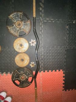 Curl Bar and Weights