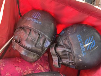 Sanabul Essential Curved Punch Mitts