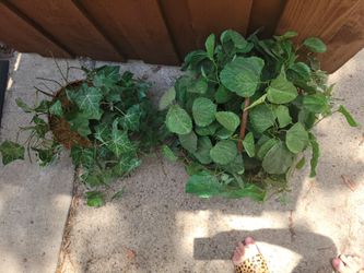 2 artificial ivy.  Large & medium in rattan wicker basket
