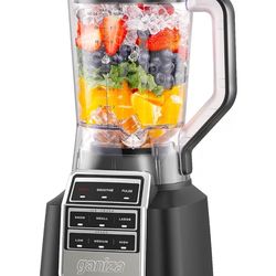 Ganiza Professional Smoothie Blender
