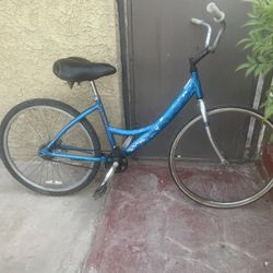 Blue Chrome Bike 