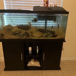 55 gallon fish tank 