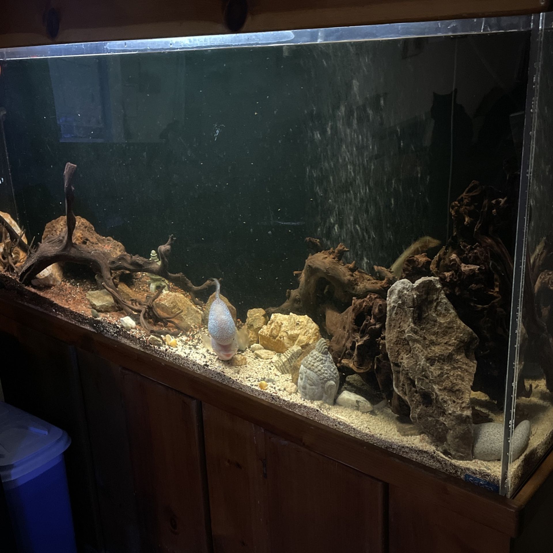 110  Gallon Fish Tank/Aquarium 