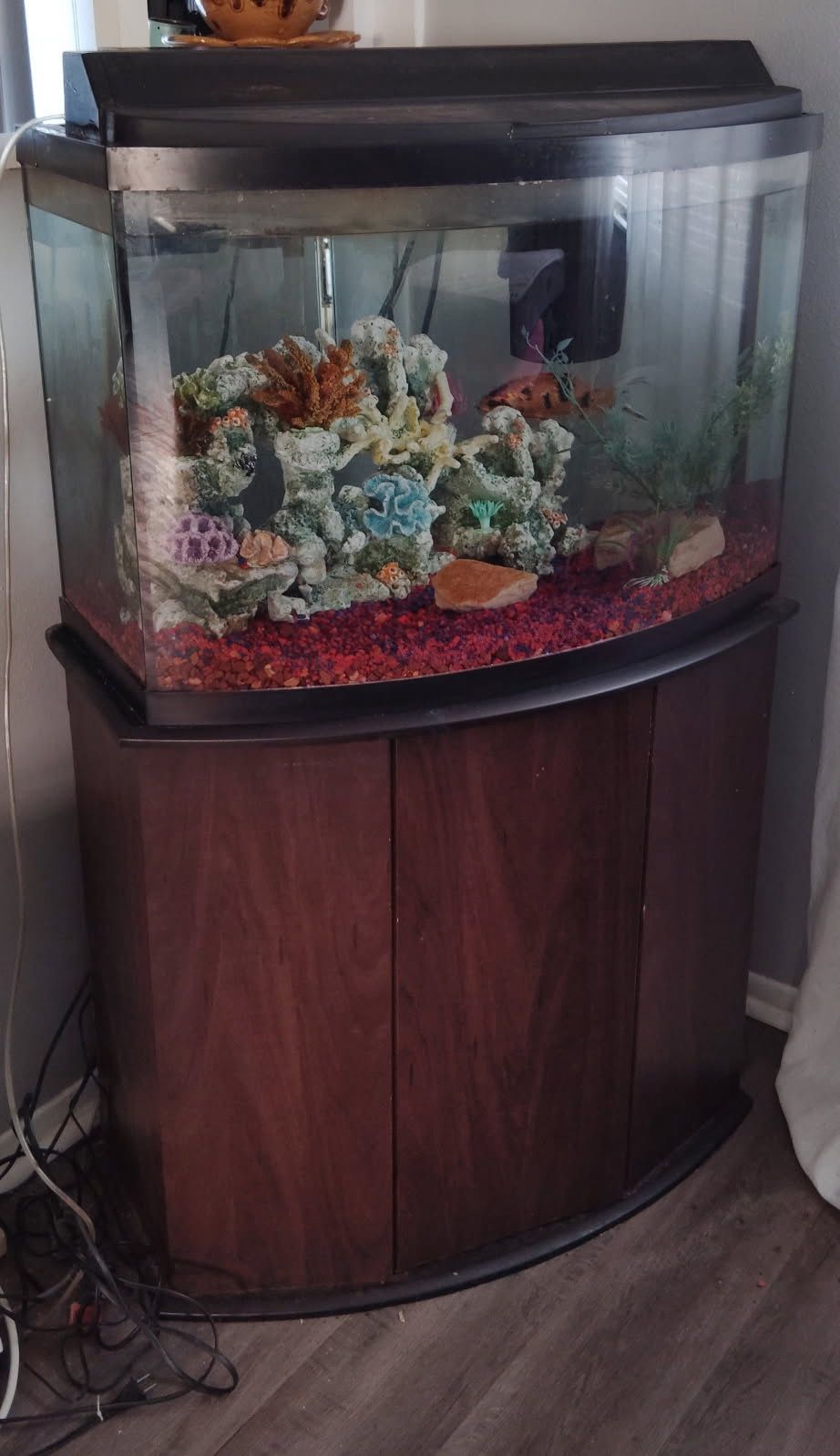 Fish Tank