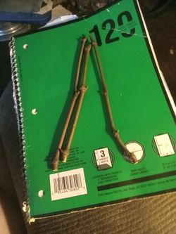 (3) Thompson Green Seedless Grape Cuttings